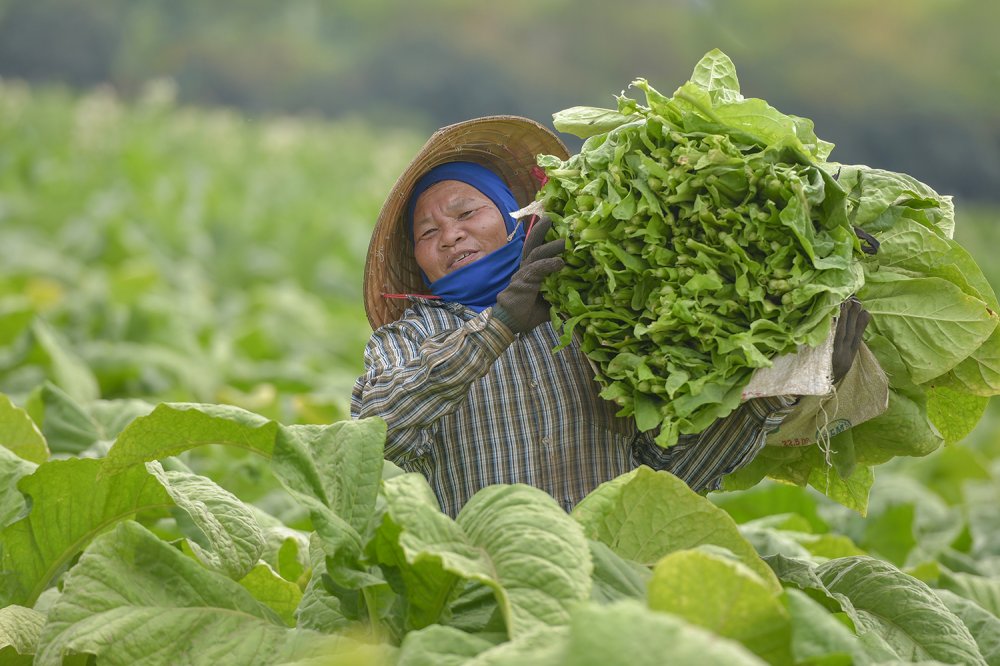 Un mondo senza tabacco: è possibile?