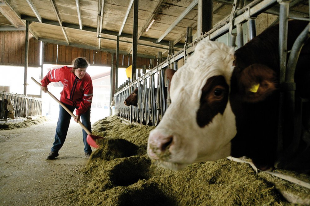 Laboratorio agricolo della ecostalla