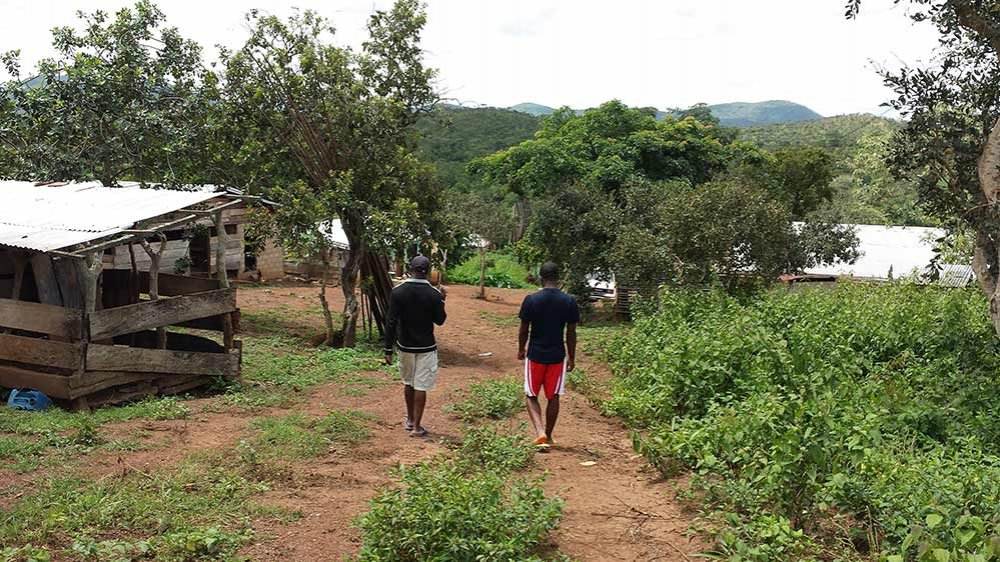 Camerun: quando l'agricoltura riscatta i carcerati