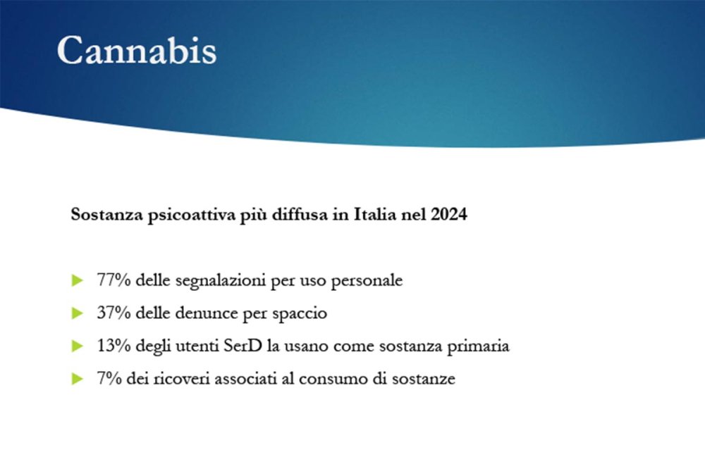 Cannabis, sostanza psicoattiva più diffusa in Italia nel 2024