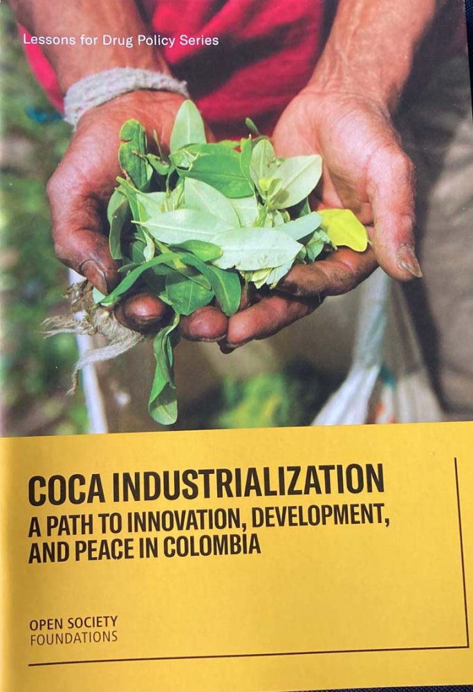Industrializzazione foglie di coca