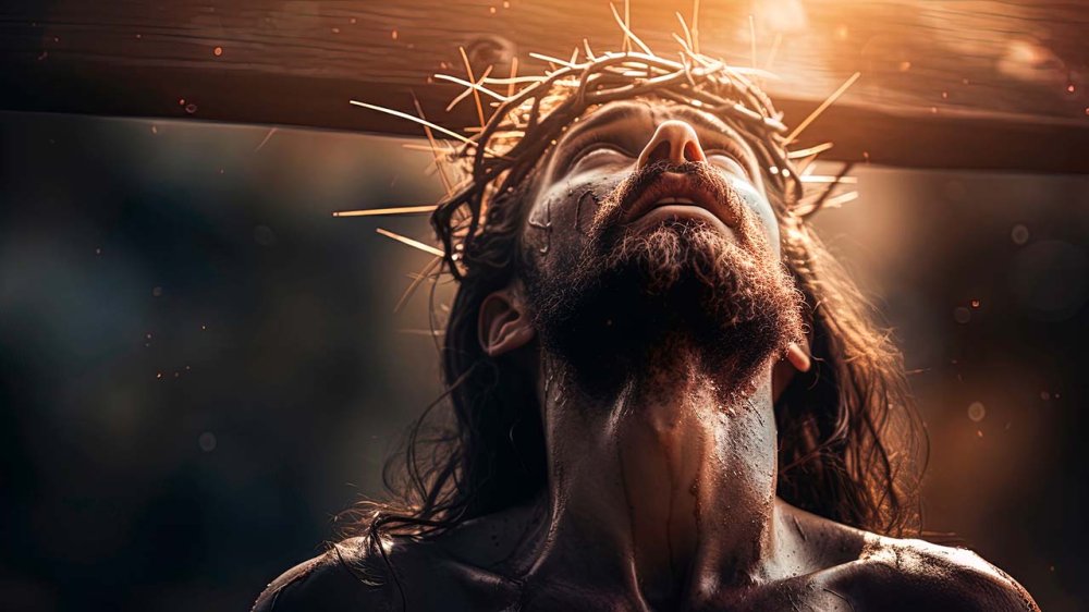 Vangelo 23 novembre: «Non sei tu il Cristo?»