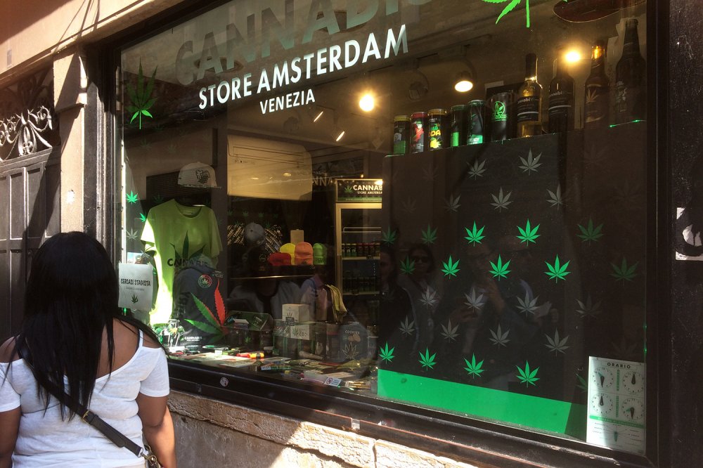 Negozio Cannabis a Venezia