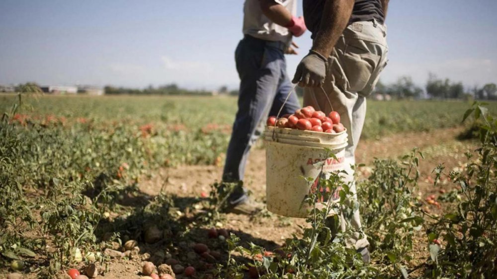 Lavoro nero: ecco chi può essere regolarizzato