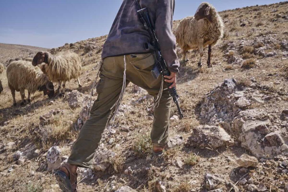 Colono in Palestina