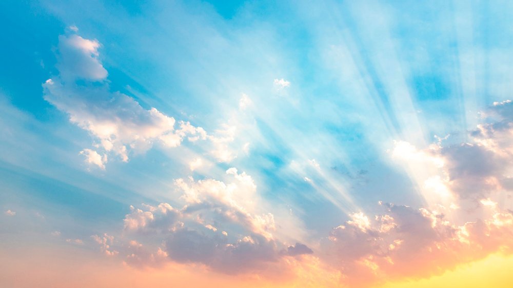 Vangelo di domenica 2 novembre: «La vita eterna»