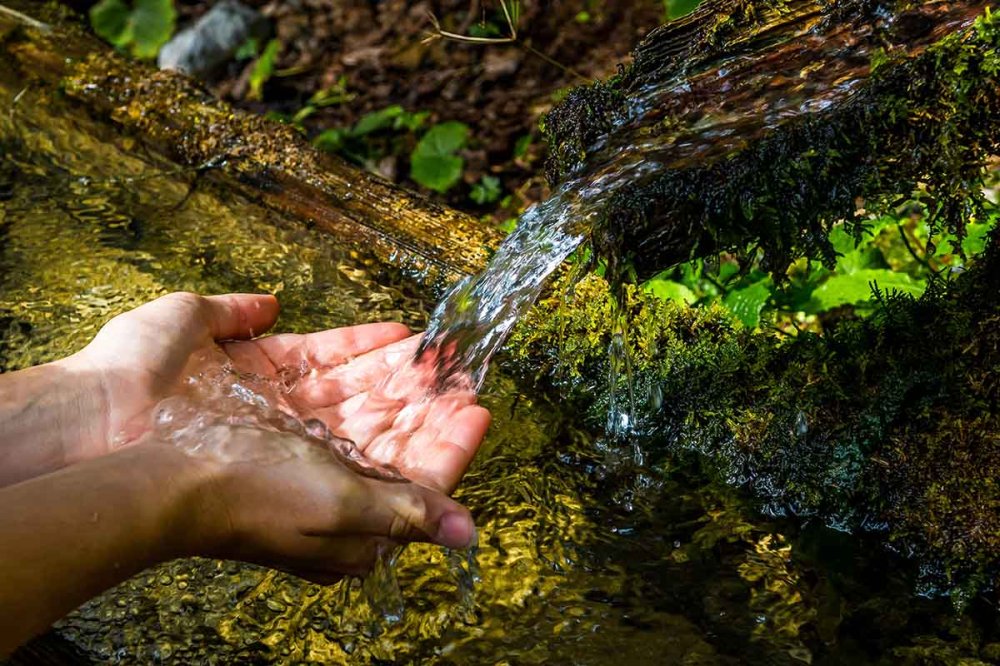 Immersi nel creato: cammina, contempla, cambia