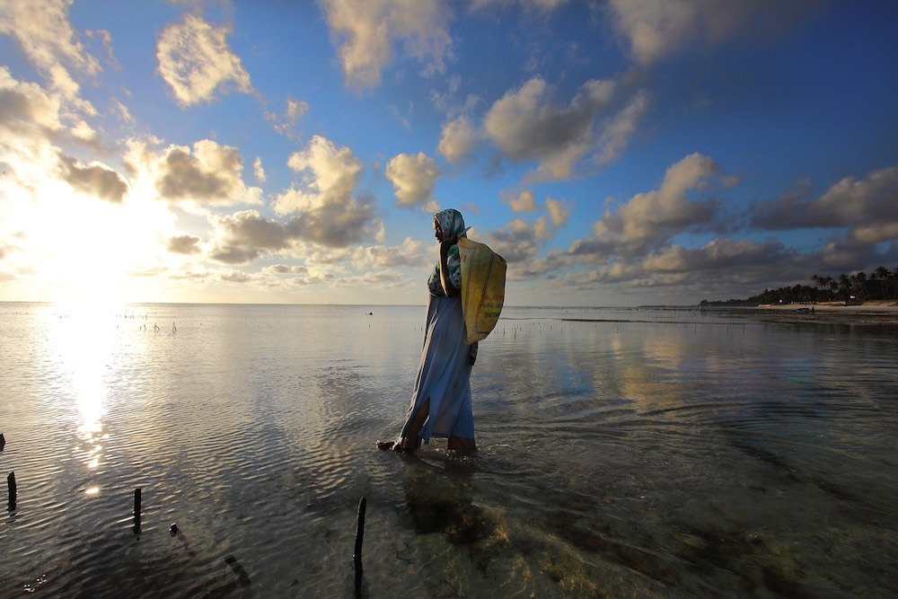 Un orto nell'Oceano