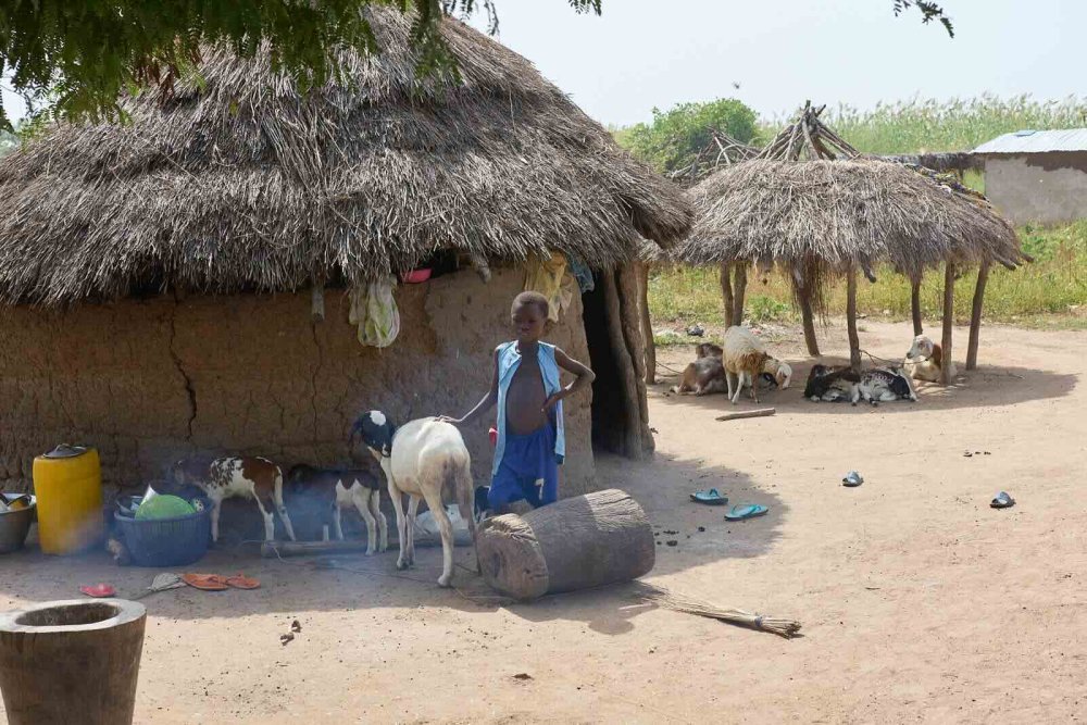 Il Signore ti ha mandato in Togo per me