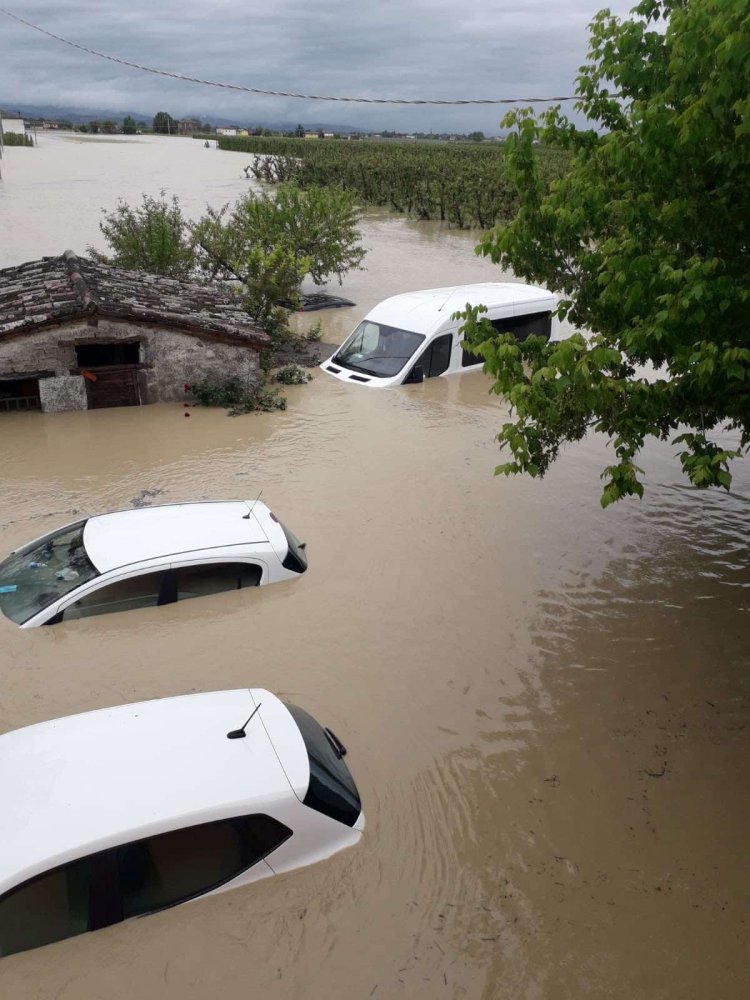 pulmini sommersi quasi per intero.