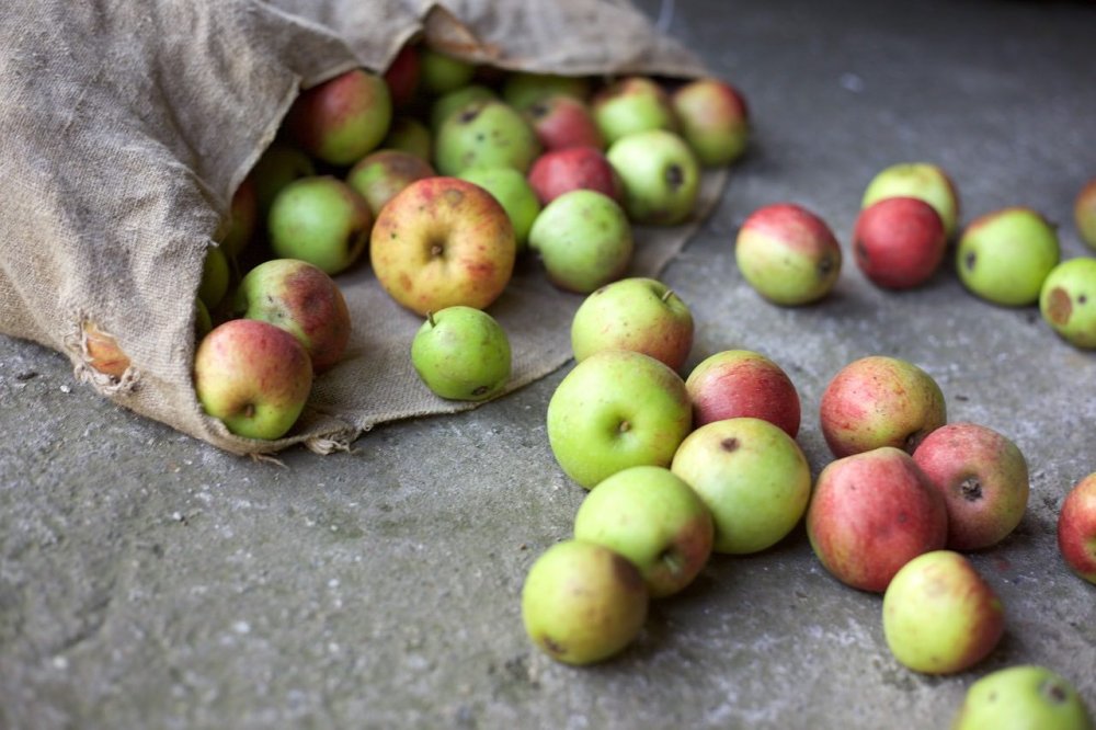 Spreco alimentare? No, grazie