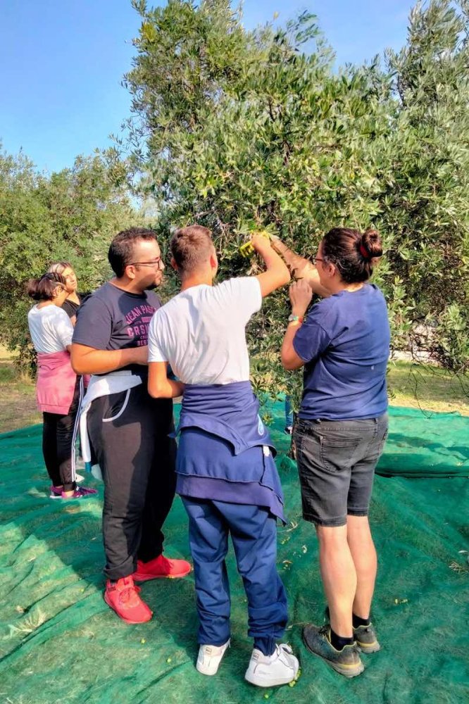 Ragazzi nella natura, guardano un albero