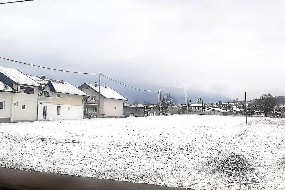 Fra i boschi innevati un corridoio fra gli alberi