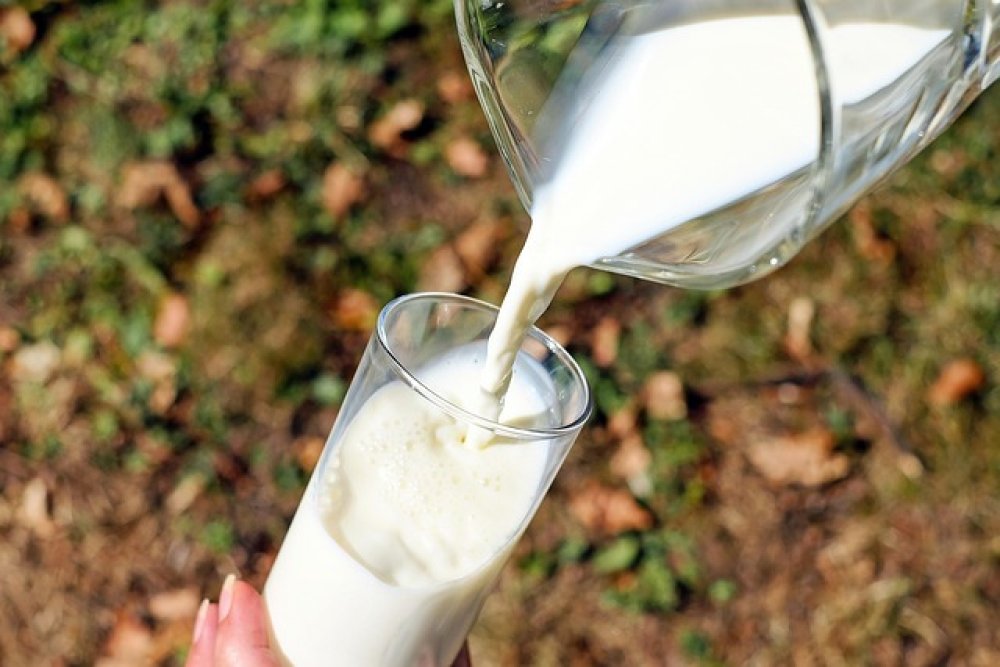 Latte. Quale metto nel carrello?