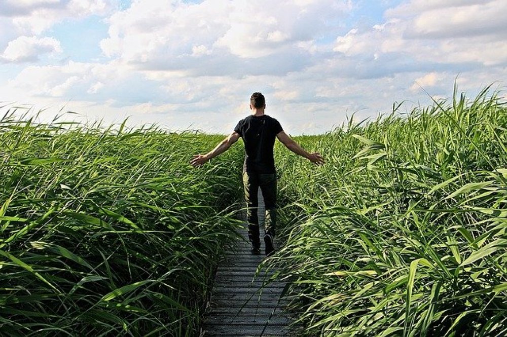 Un giardino per la resilienza in Ucraina