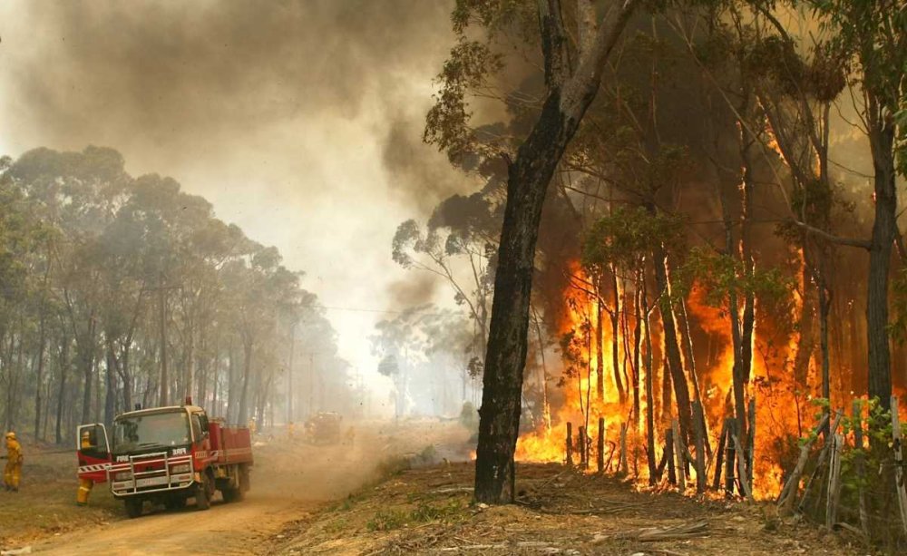 Sette milioni in fuga per il clima