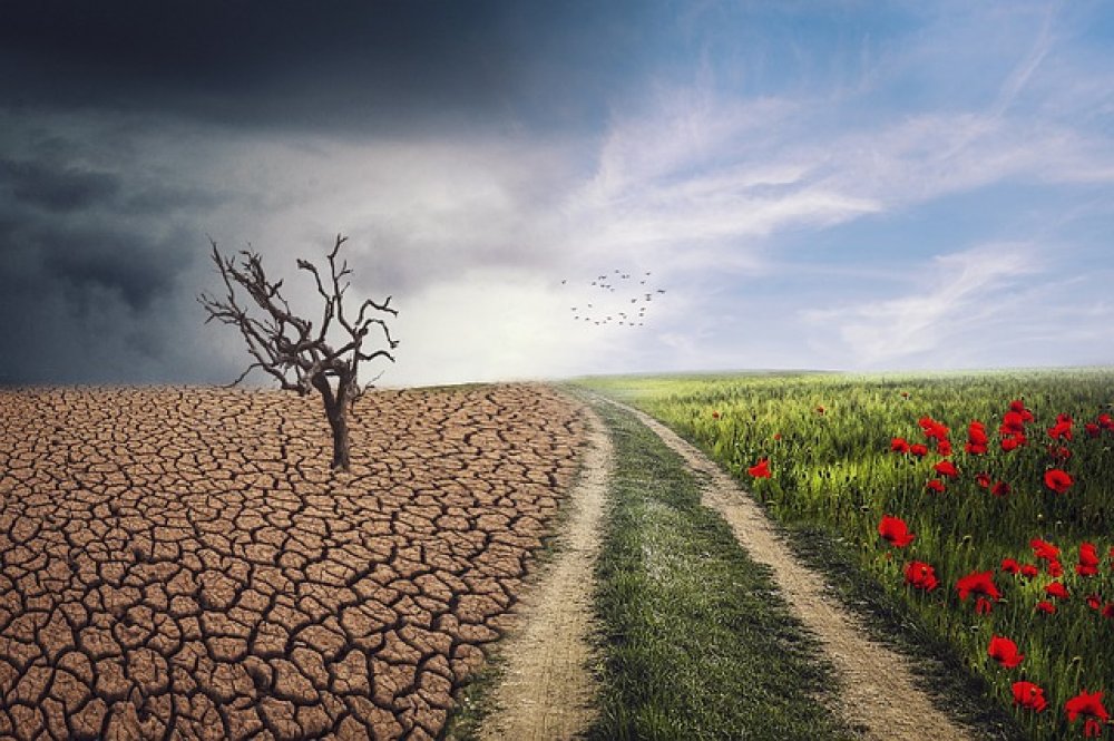 Clima. Punto di non ritorno?