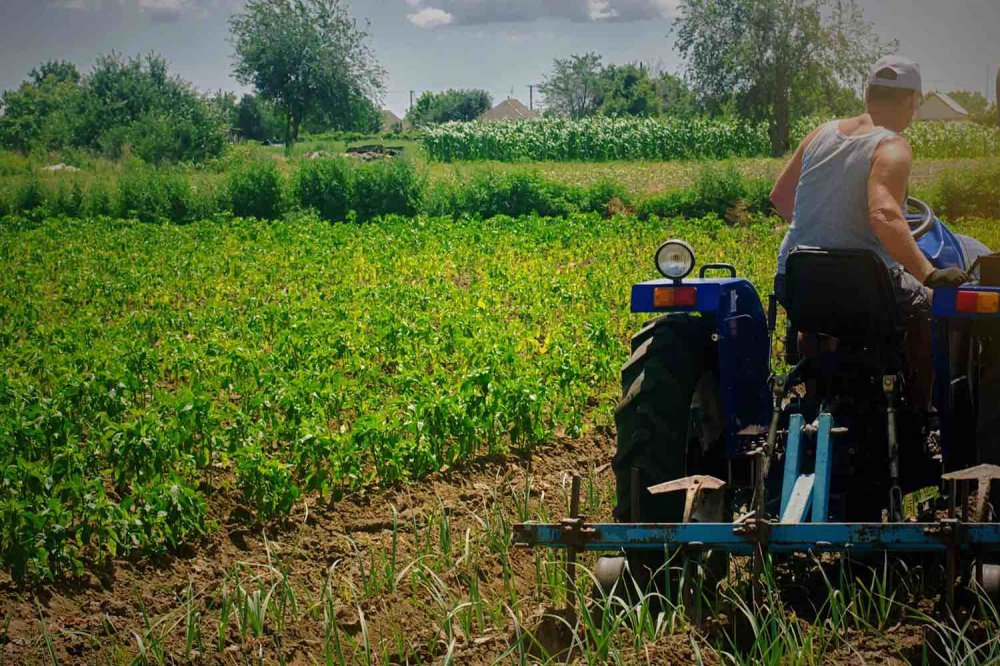 Agricoltura inclusiva sostenibile