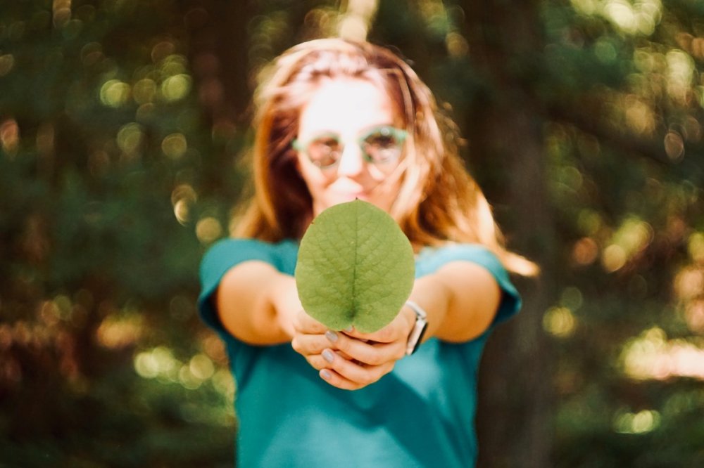 Diventa animatore Laudato Si'