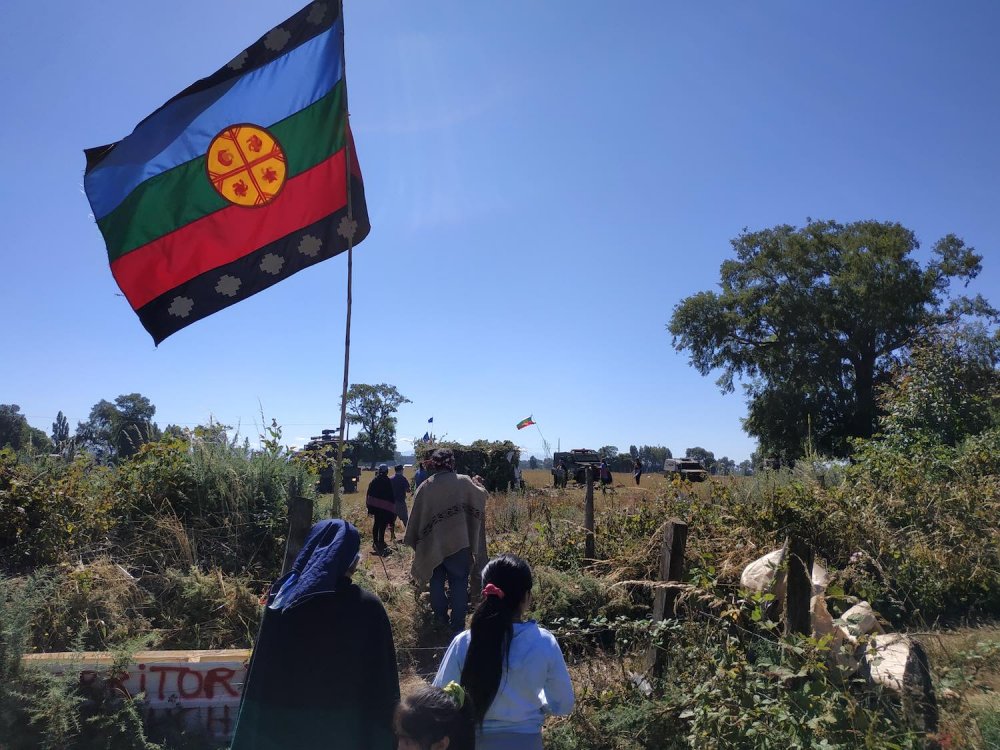 Bandiera portata dai mapuche nella savana del Cile