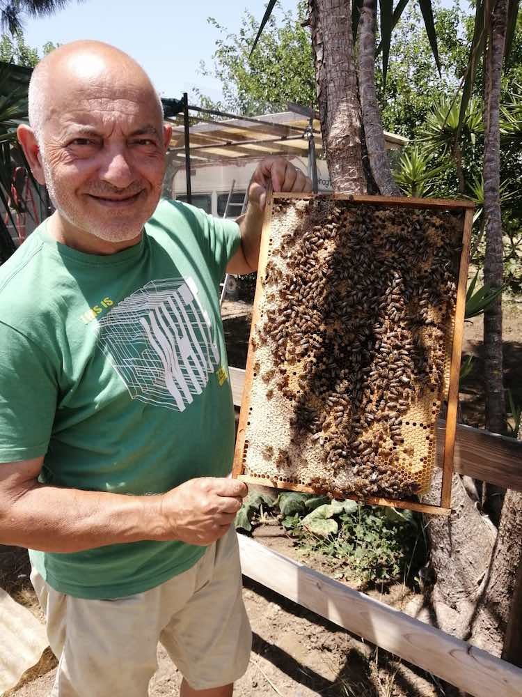 Apicoltura Ro la formichina